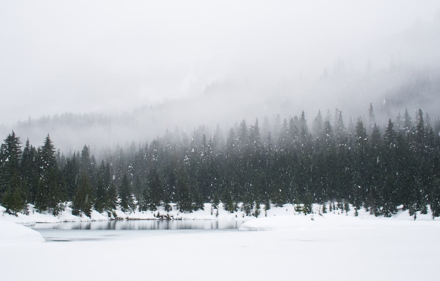 Commercial Snow & Ice Management